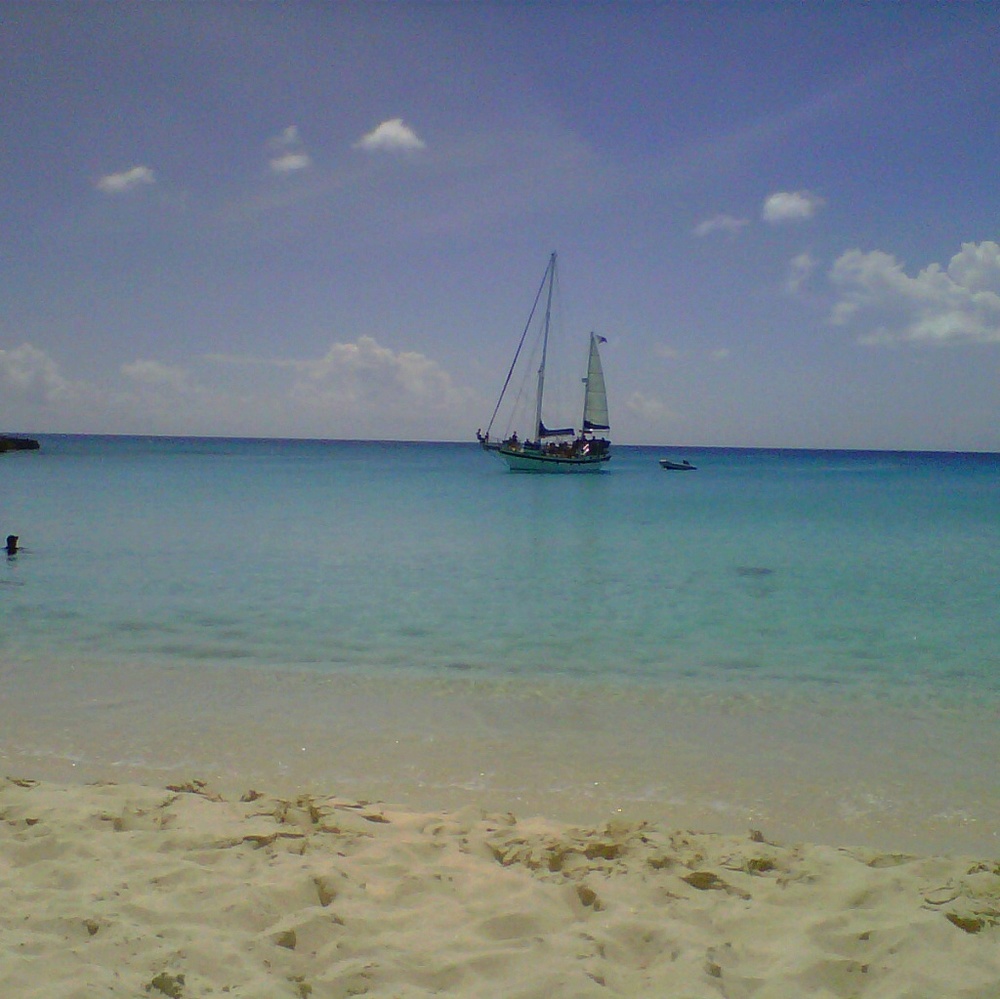 Meet your Posher, Alice